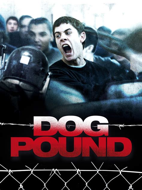 dog pound cast|Meet the Cast of Dog Pound Movie 